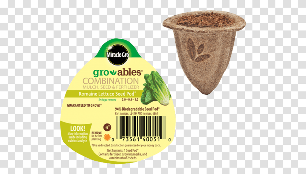 Cilantro Seed Pods Aerogarden, Plant, Soil, Pottery, Food Transparent Png