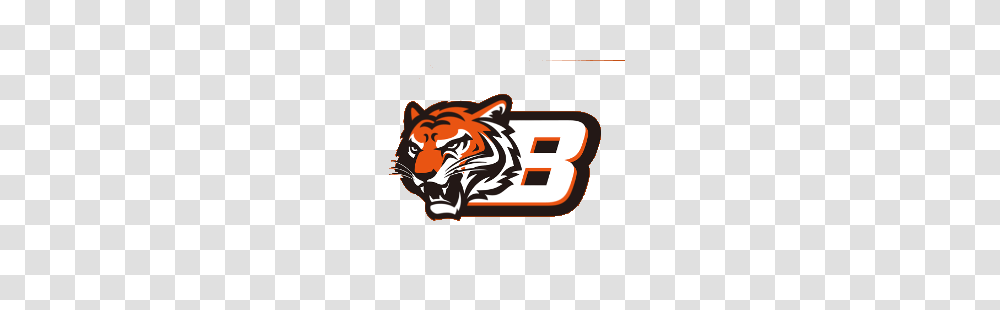 Cincinnati Bengals Concept Logo Sports Logo History, Mammal, Animal Transparent Png