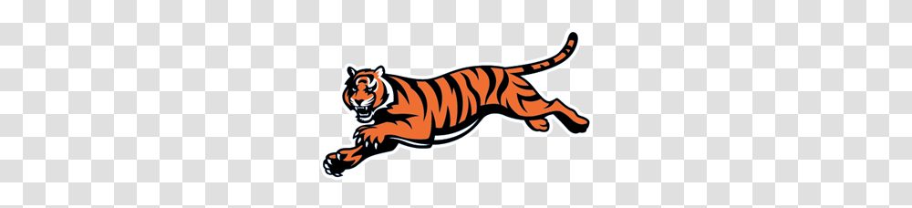 Cincinnati Bengals Logo Vector, Animal, Invertebrate, Wildlife, Mammal Transparent Png