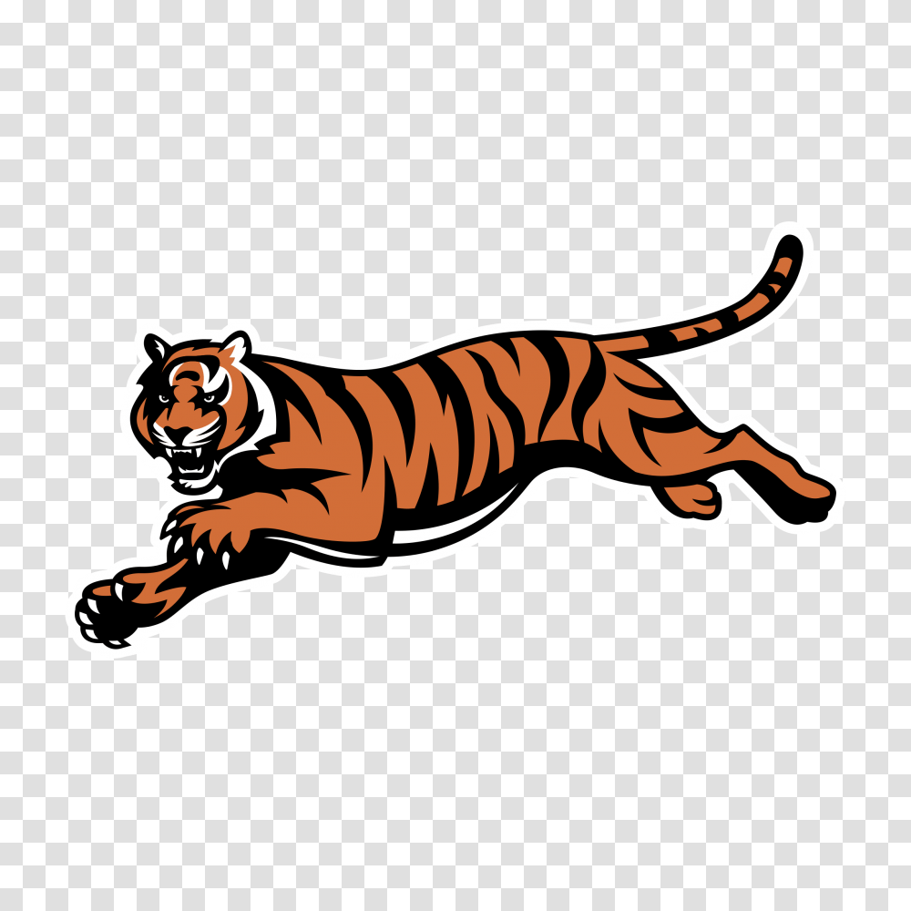 Cincinnati Bengals Nfl Logo American Football Clip Art, Tiger, Wildlife, Mammal, Animal Transparent Png