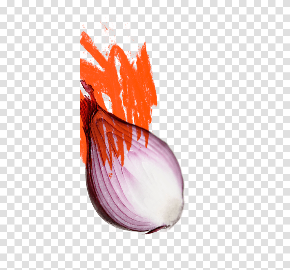 Cinder House Flame One Red Onion, Plant, Food, Petal, Flower Transparent Png