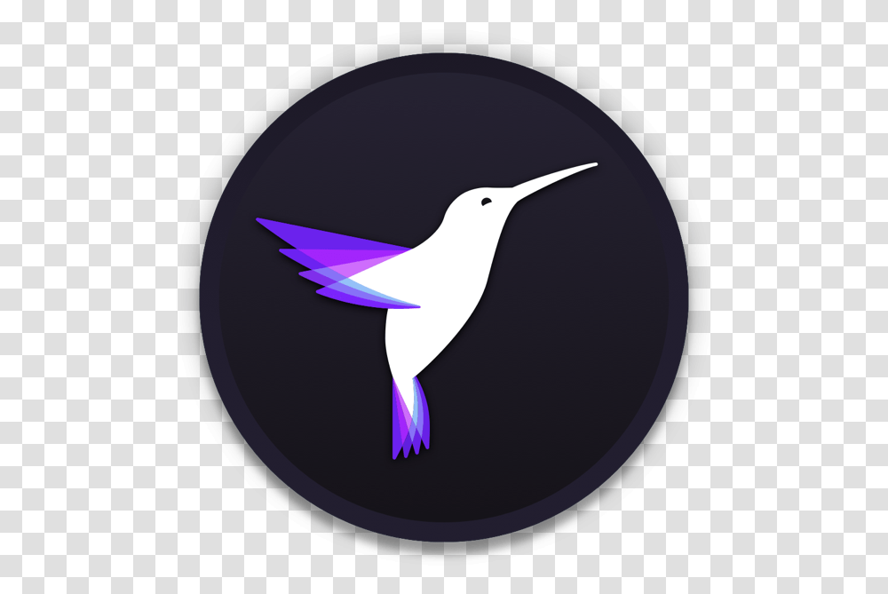 Cinemagraph Pro 2.7, Bird, Animal, Hummingbird Transparent Png