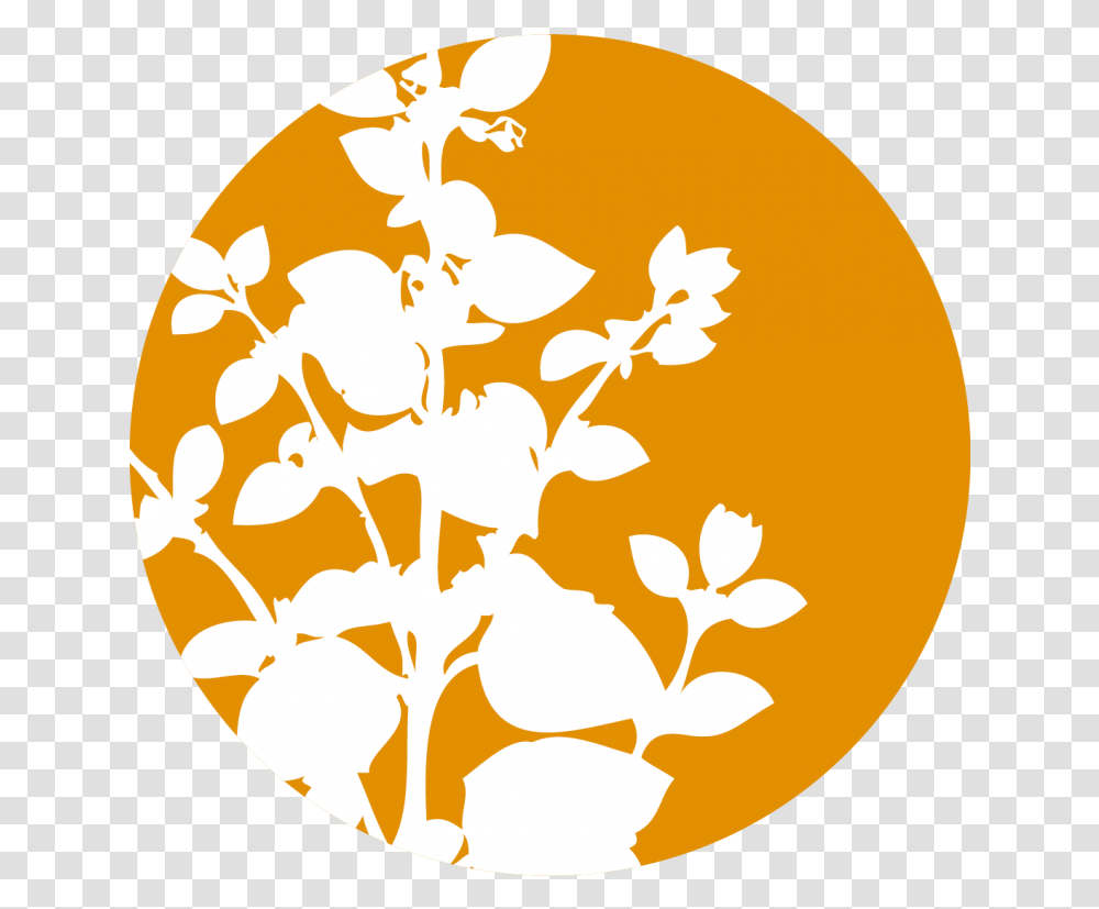 Cinnamon Flower Icon, Astronomy Transparent Png