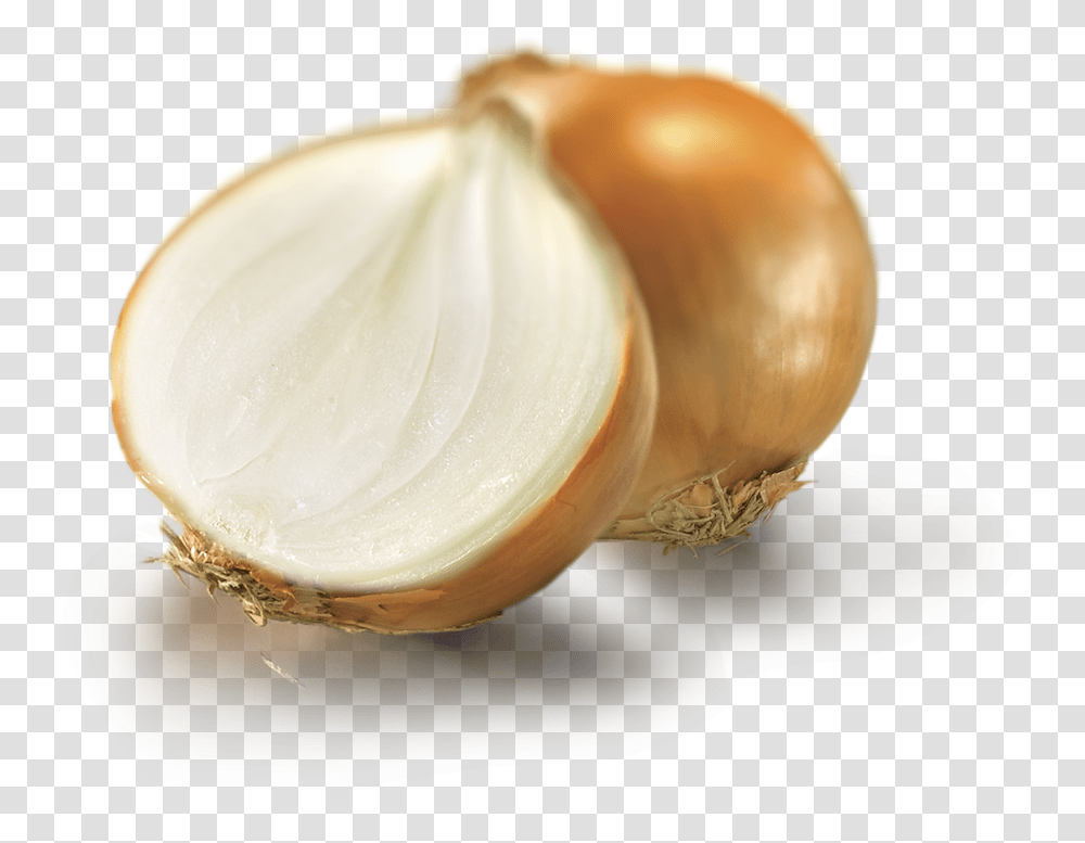 Cipolla Dorata, Plant, Vegetable, Food, Egg Transparent Png