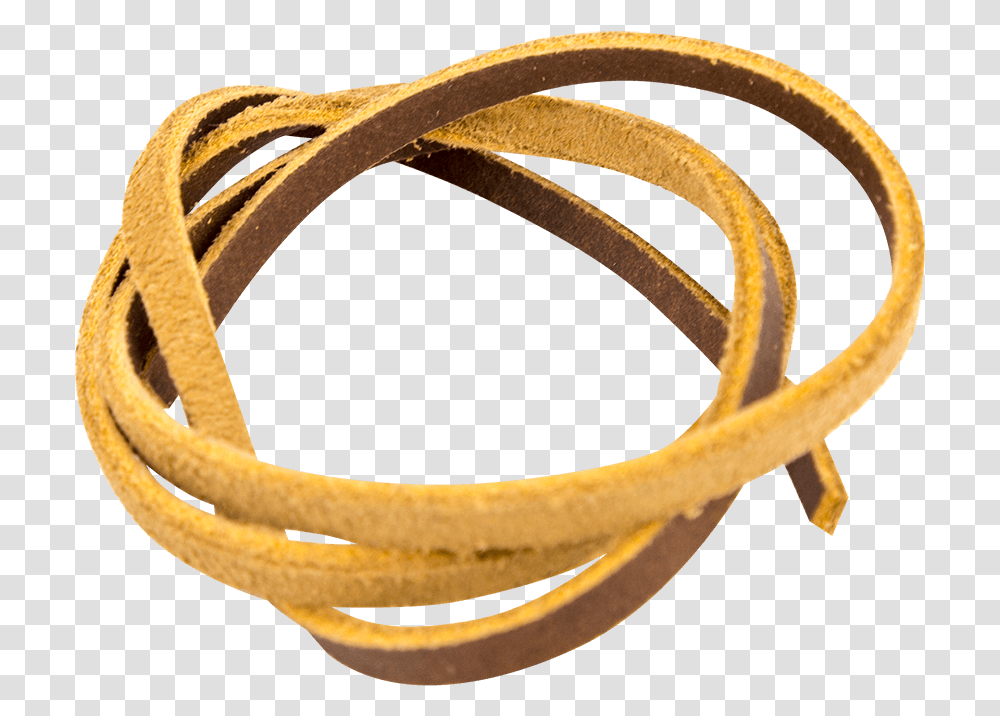 Circle, Accessories, Accessory, Snake, Reptile Transparent Png