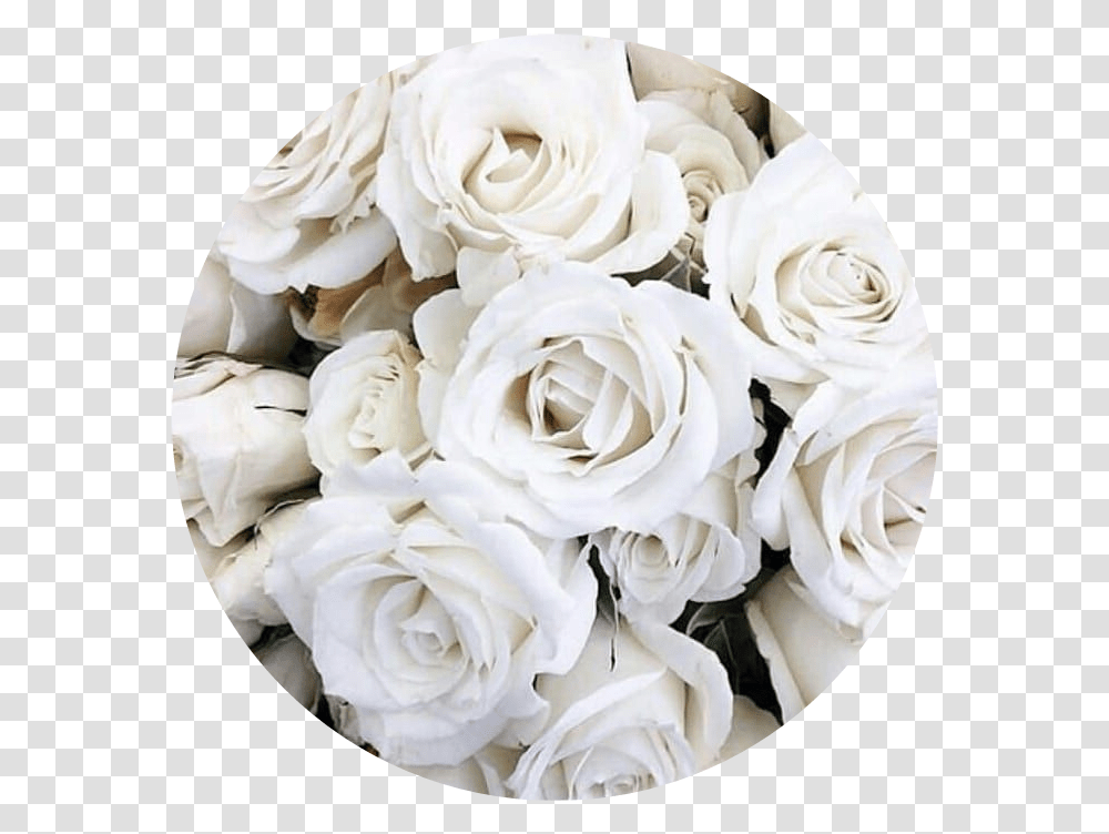 Circle Aesthetic White Rose Roses Flower Flowers Aesthetic White Flowers, Flower Bouquet, Flower Arrangement, Plant Transparent Png