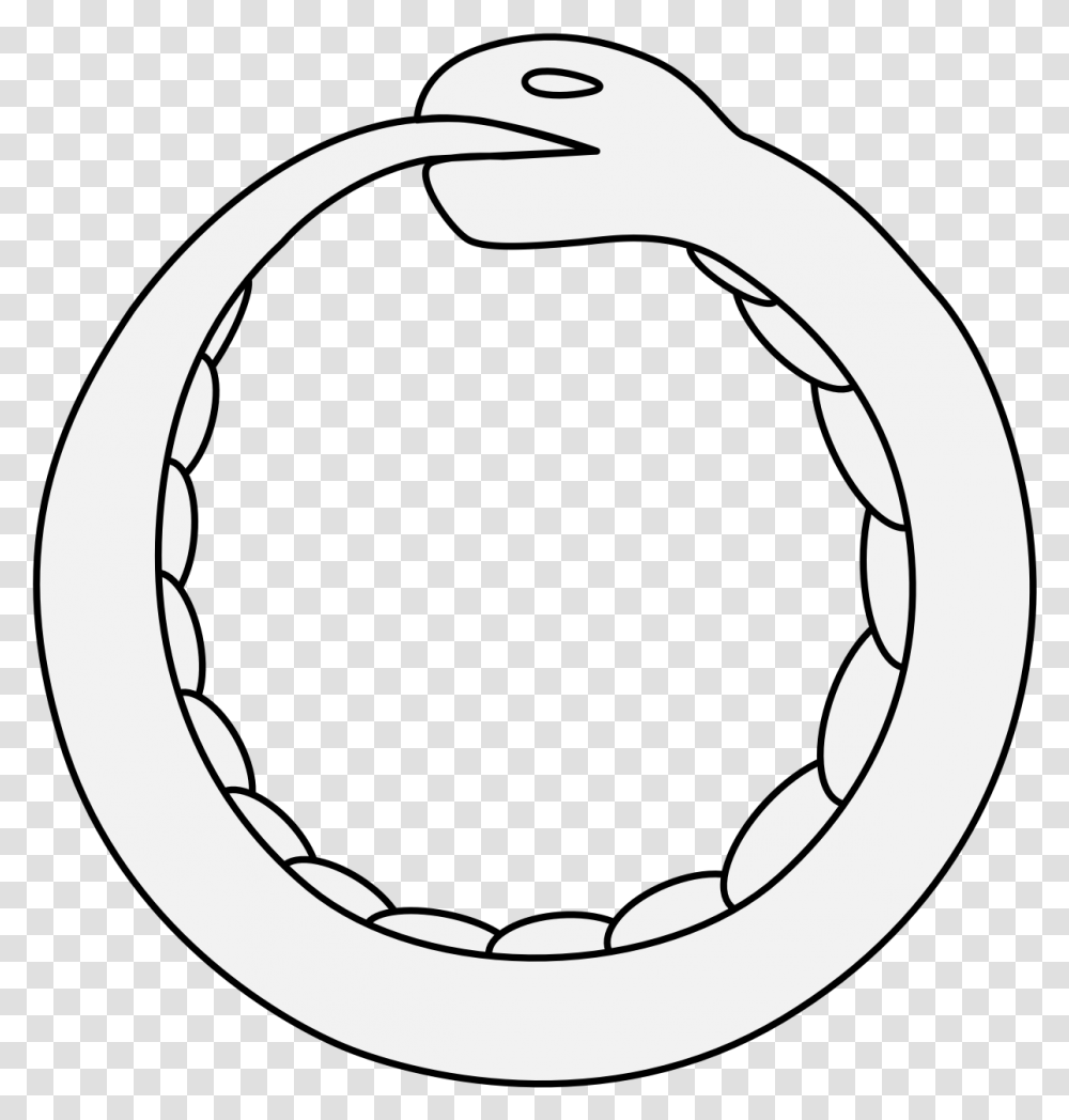 Circle, Animal, Bird Transparent Png