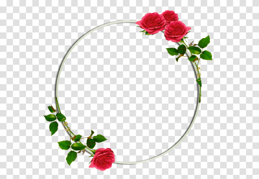 Circle Background Floral Flowers Roses Rose Redrose, Plant, Blossom, Geranium, Flower Arrangement Transparent Png