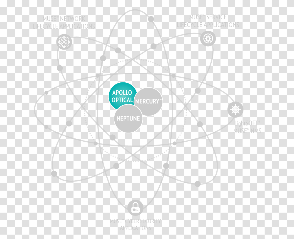 Circle, Bow, Diagram, Sphere, Network Transparent Png