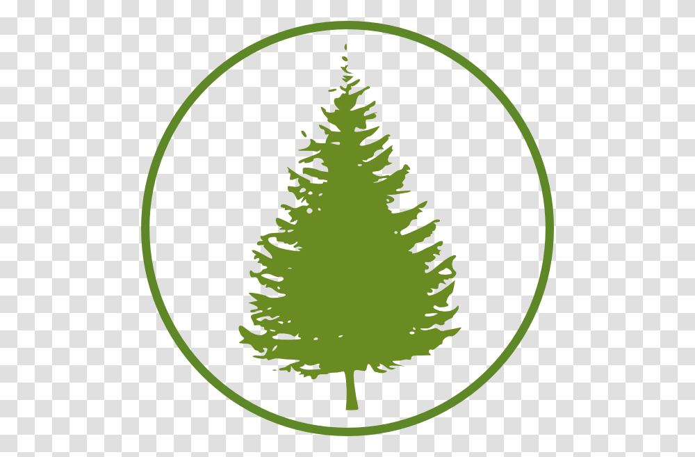 Circle Clip Art At Clker Com Online Pine Tree Clipart, Plant, Conifer, Ornament, Christmas Tree Transparent Png