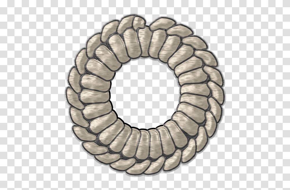 Circle Clip Art, Invertebrate, Animal, Worm Transparent Png