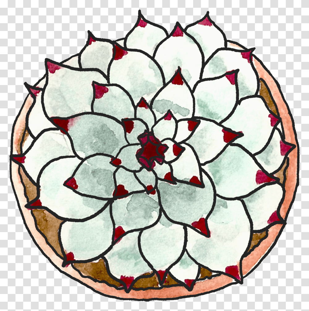 Circle, Dahlia, Flower, Plant, Blossom Transparent Png