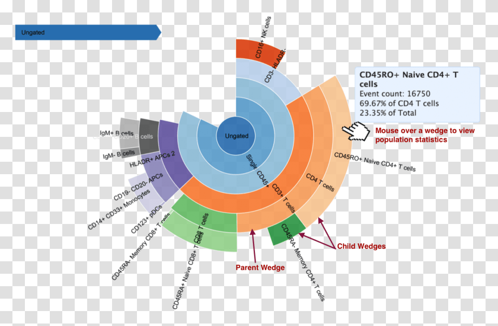 Circle, Diagram, Outdoors, Business Card Transparent Png