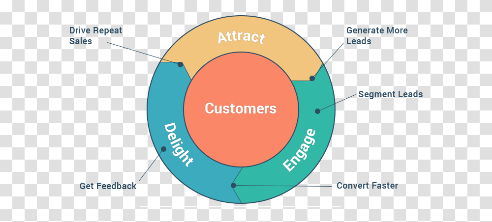 Circle, Diagram, Plot, Number Transparent Png