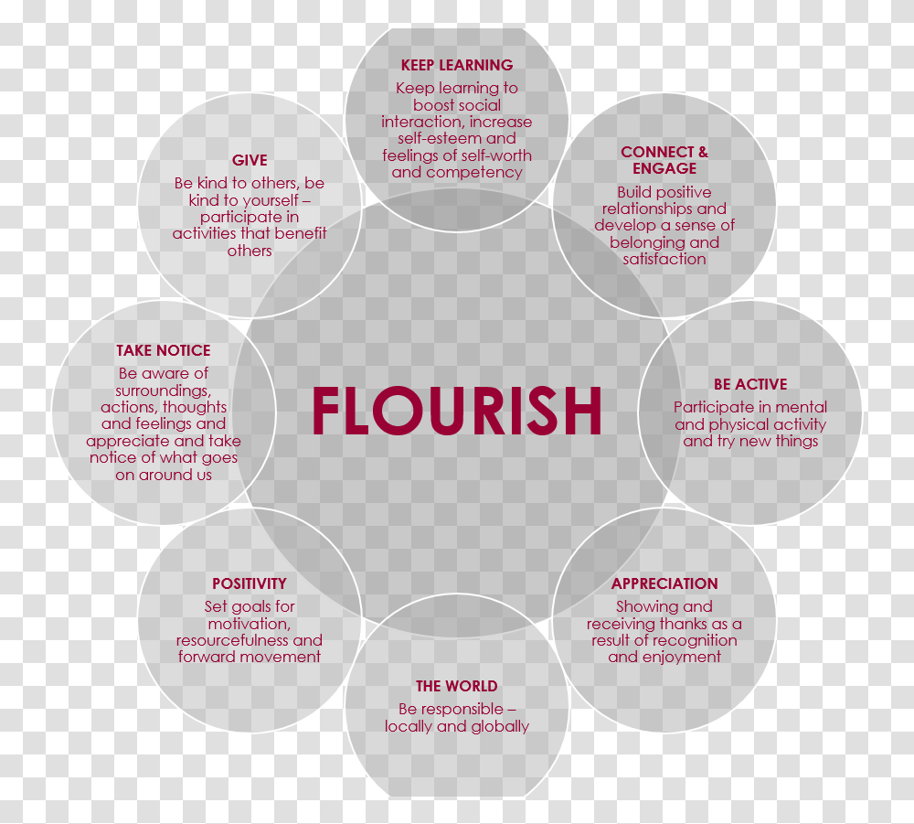 Circle, Diagram, Plot, Plan Transparent Png