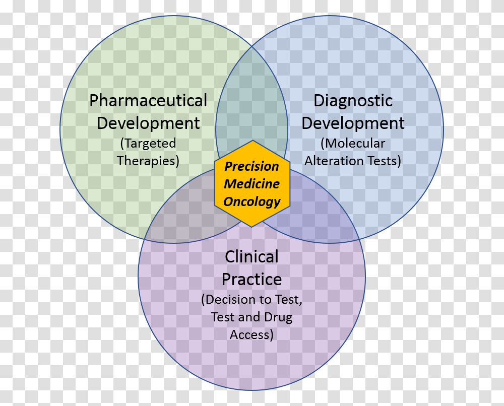 Circle, Diagram, Plot, Vegetation, Plant Transparent Png