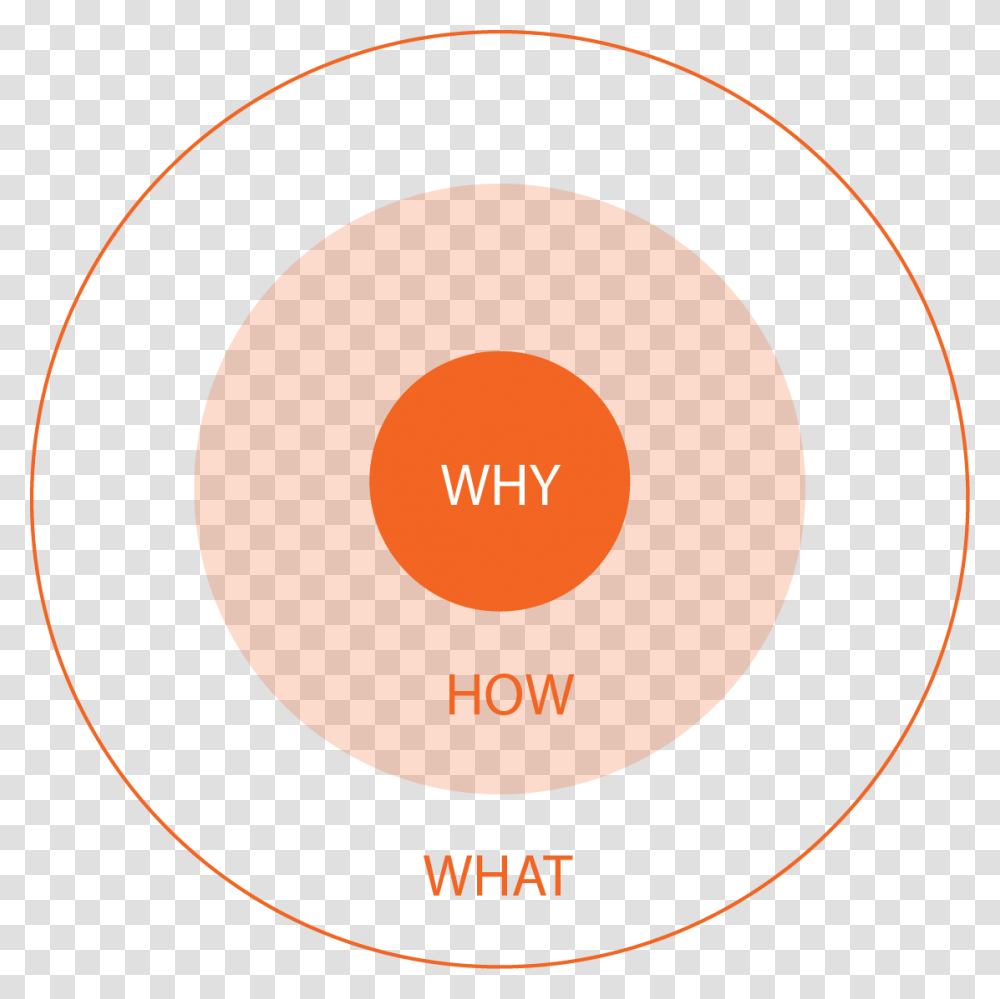 Circle, Diagram, Plot, Label Transparent Png