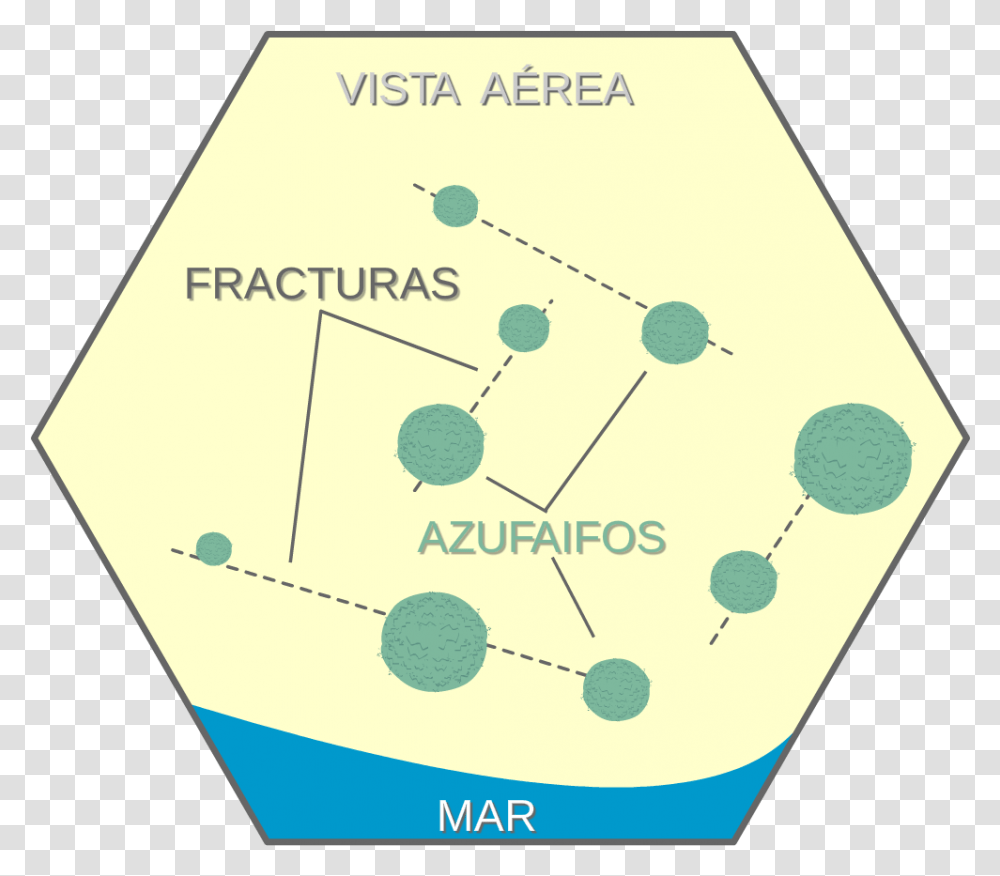 Circle, Diagram, Triangle, Plot, Network Transparent Png