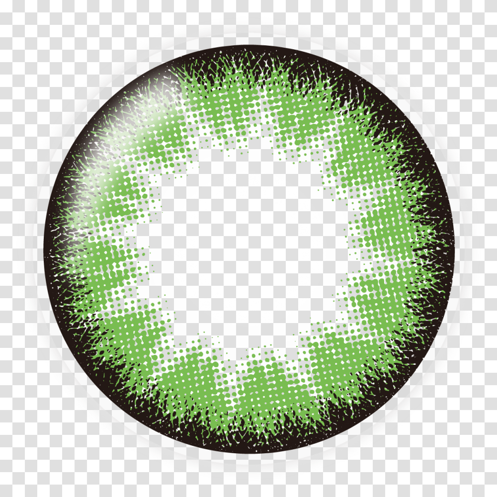 Circle, Disk, Dvd Transparent Png