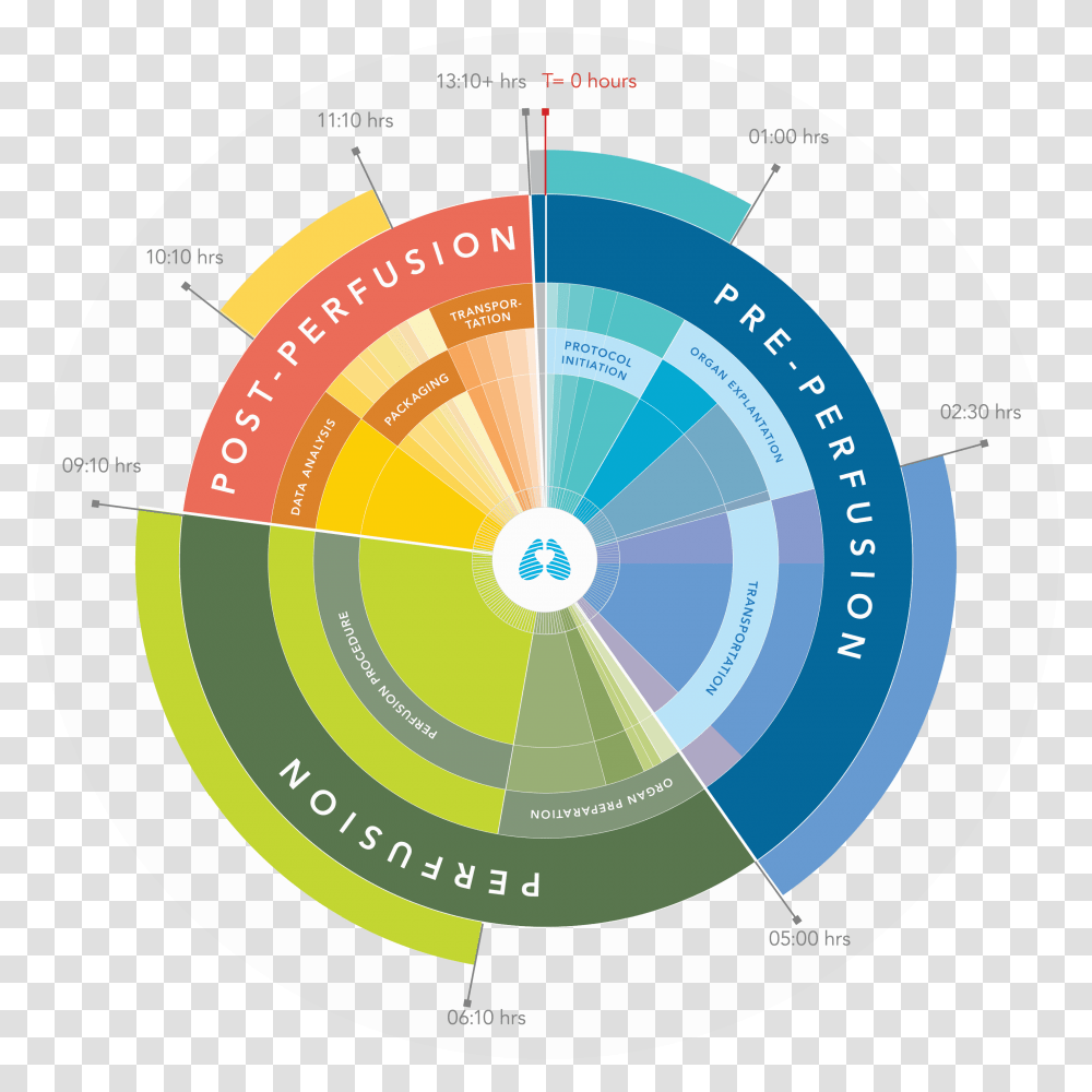 Circle, Disk, Vegetation, Plant, Diagram Transparent Png