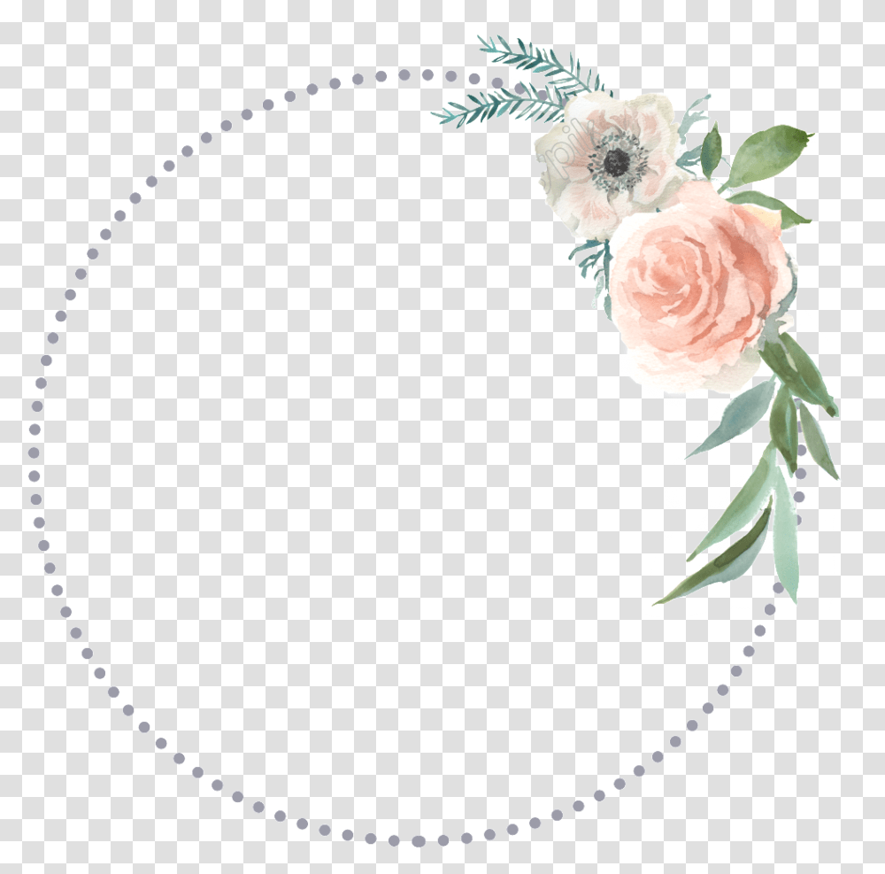 Circle Dots Frame Flowers Background, Plant, Blossom, Rose, Carnation Transparent Png