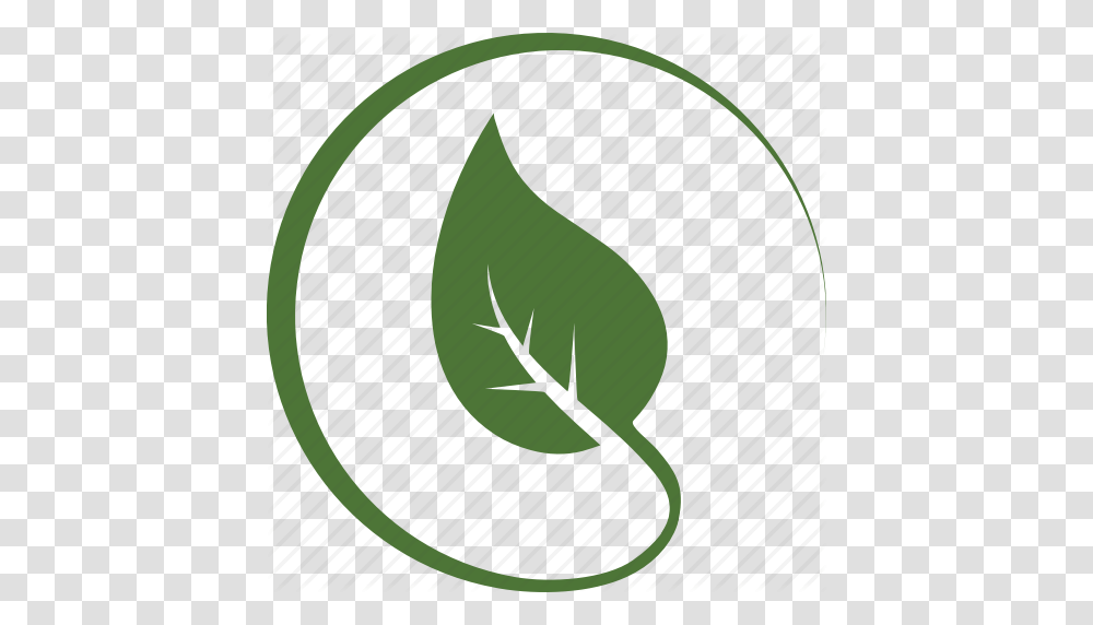 Circle Environnement Green Leaf Leaves Nature Tree Icon, Plant, Produce, Food, Vegetable Transparent Png