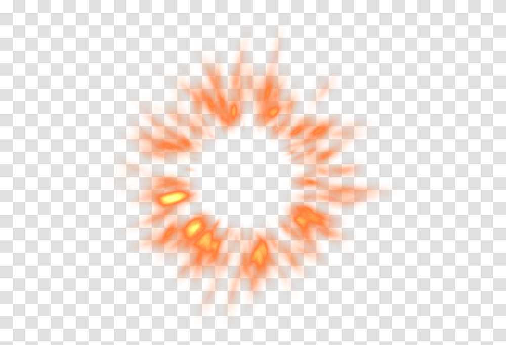 Circle Fire Clipart Fire Sparks Gif, Plant, Flower, Blossom, Sunflower Transparent Png