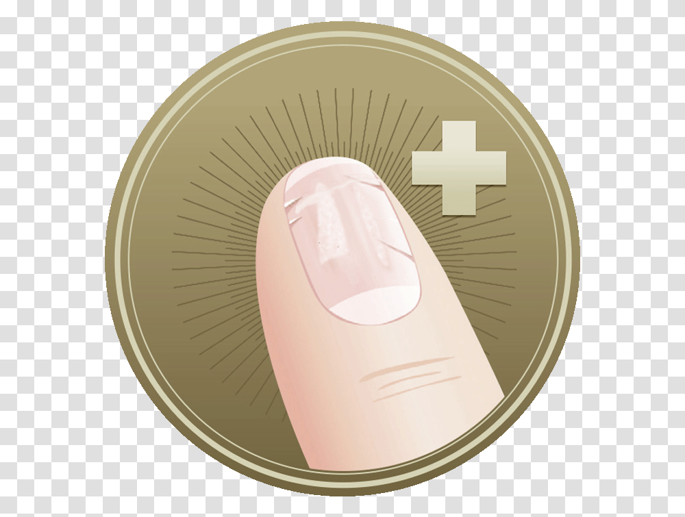 Circle, First Aid, Bandage Transparent Png