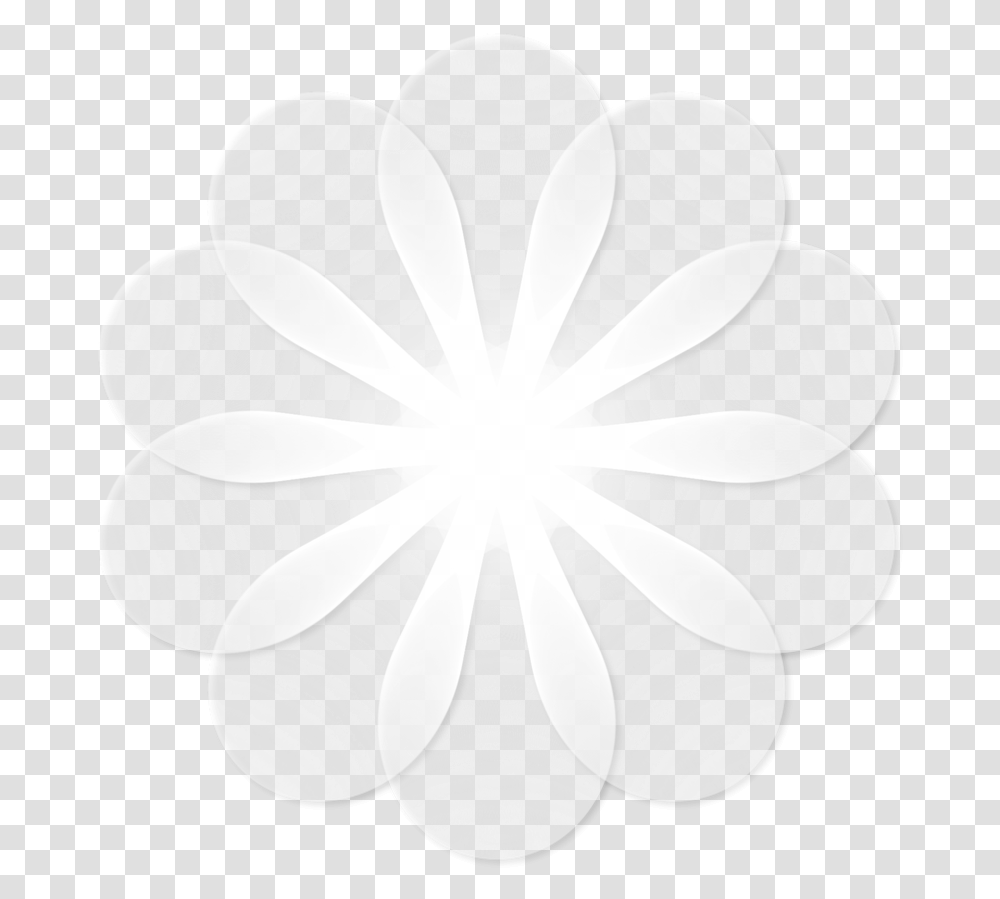 Circle, Flower, Plant, Blossom, Daisy Transparent Png