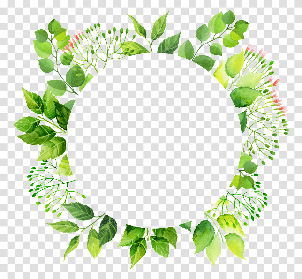 Circle Frames Files Download Free Green Circle Frame, Wreath, Plant Transparent Png
