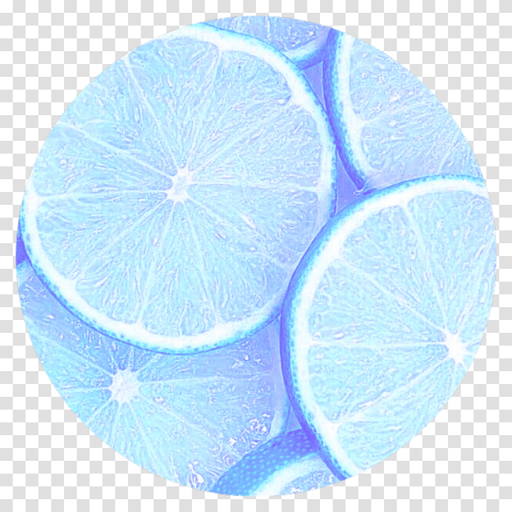 Circle Frut Limon Circulo Tumblr Colors Crculo Blu Con Circulo, Citrus Fruit, Plant, Food, Rug Transparent Png