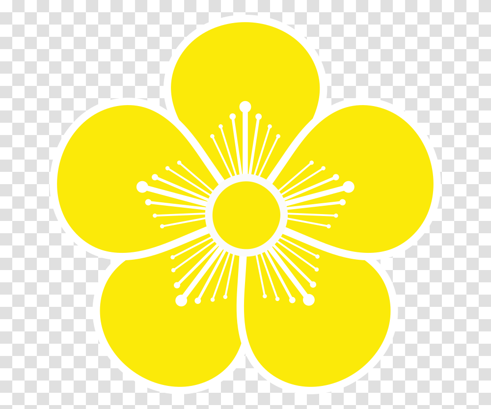 Circle, Pattern, Flower Transparent Png