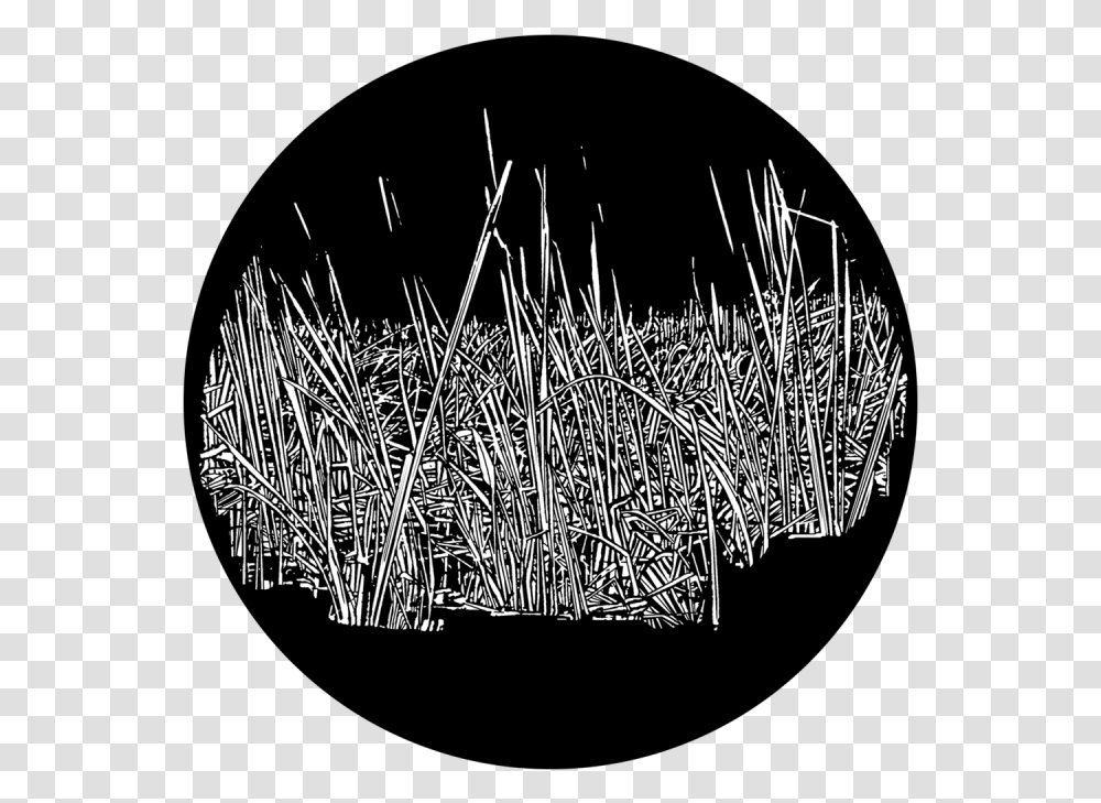 Circle, Grass, Plant, Crystal, Reed Transparent Png