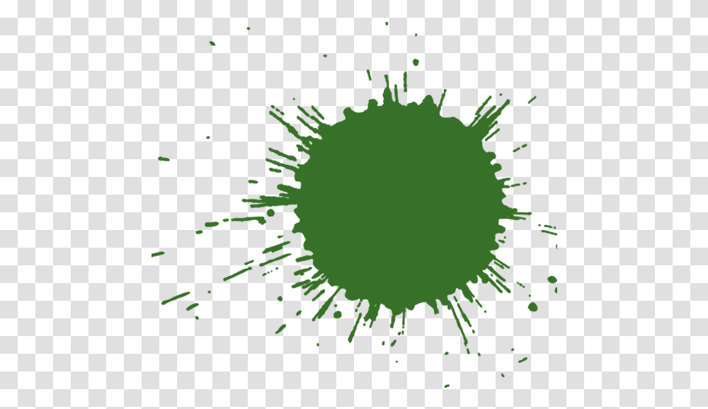 Circle, Green, Plant, Tree Transparent Png