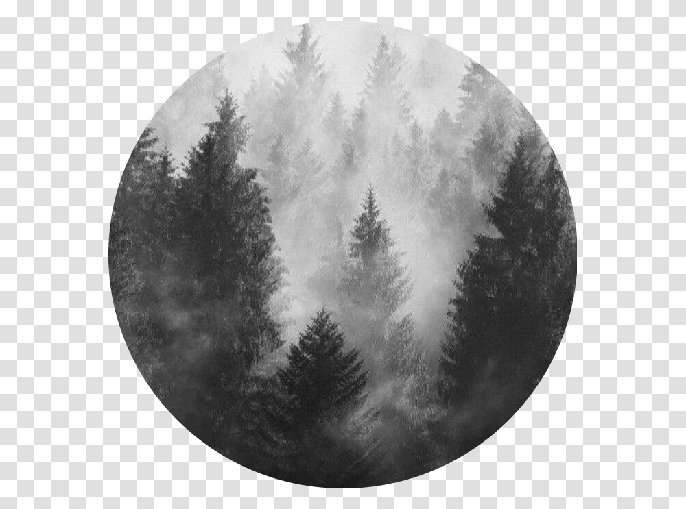 Circle Grey Aesthetic Freetoedit Black And Grey Aesthetic Forest, Moon, Outer Space, Night, Astronomy Transparent Png