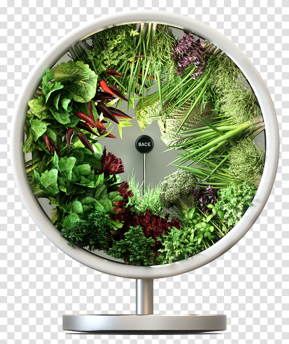 Circle Herb Indoor Garden, Wreath, Fisheye, Moss, Plant Transparent Png
