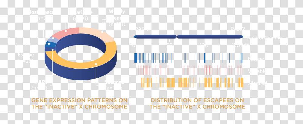 Circle, Label, Number Transparent Png