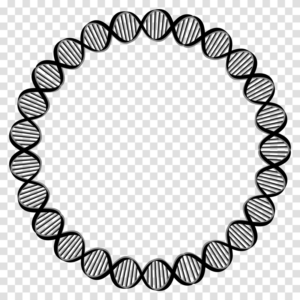 Circle Large Big Image Dna Circle, Bracelet, Jewelry, Accessories, Accessory Transparent Png