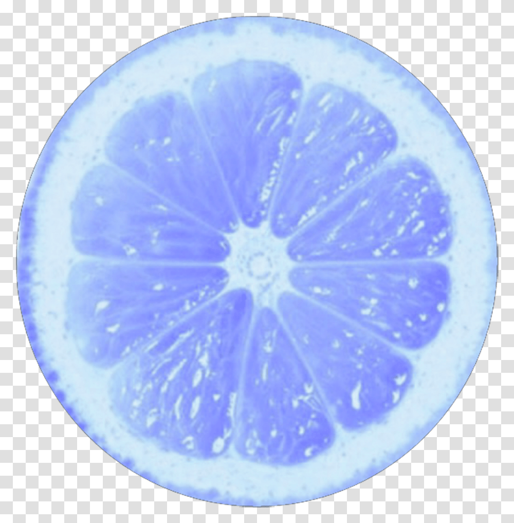 Circle Limon Blue Circulo Tumblr Colors Background Lemon Slice, Citrus Fruit, Plant, Food, Grapefruit Transparent Png