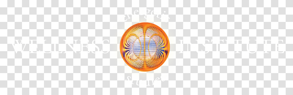 Circle, Logo, Trademark, Frisbee Transparent Png