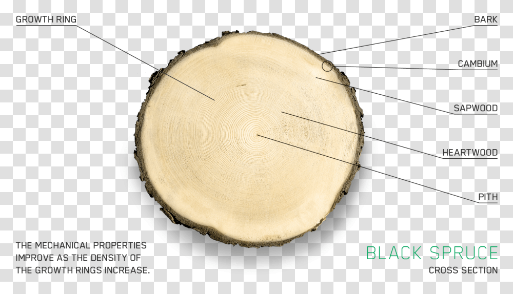 Circle, Meal, Food, Indoors, Plant Transparent Png