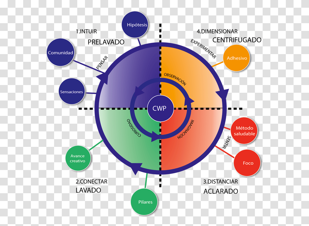 Circle, Nature, Outdoors, Diagram, Balloon Transparent Png