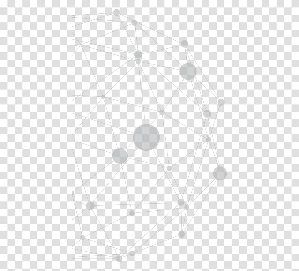 Circle, Network, Diagram Transparent Png