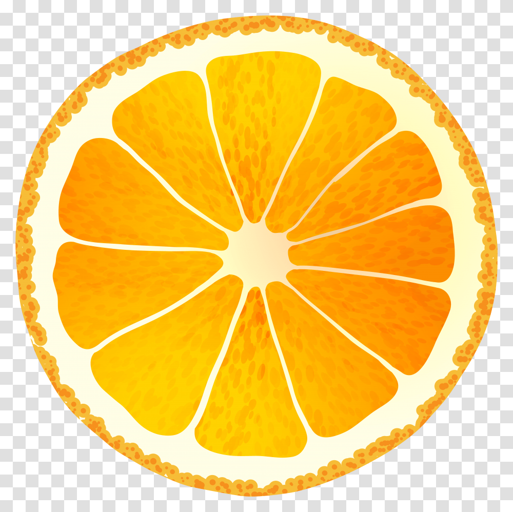Circle Orange Slice Clipart Image, Citrus Fruit, Plant, Food, Grapefruit Transparent Png