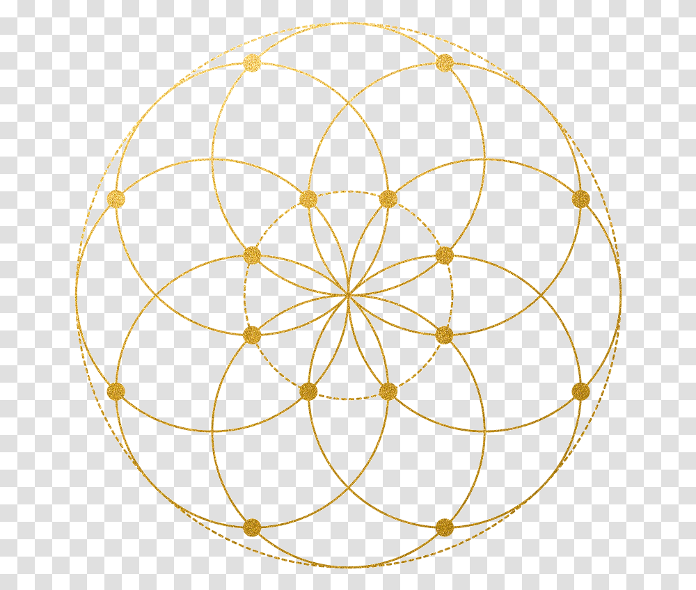 Circle, Ornament, Pattern, Fractal, Spider Transparent Png