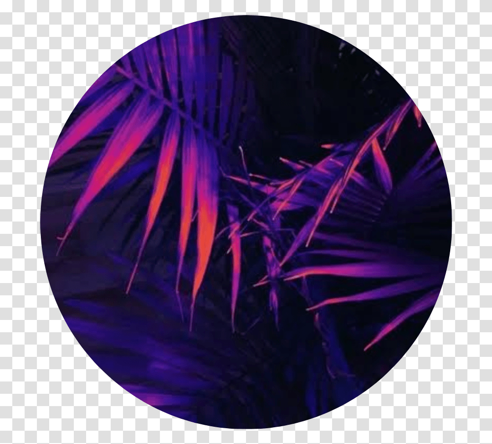 Circle Palmtree Purple Blue Orange Yellow Neon Pretty Backgrounds Purple Aesthetic, Crystal, Tent, Dish Transparent Png