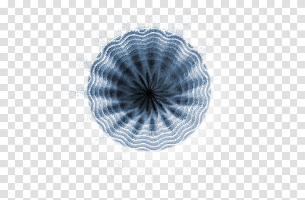 Circle, Pattern, Fractal, Ornament, Rug Transparent Png