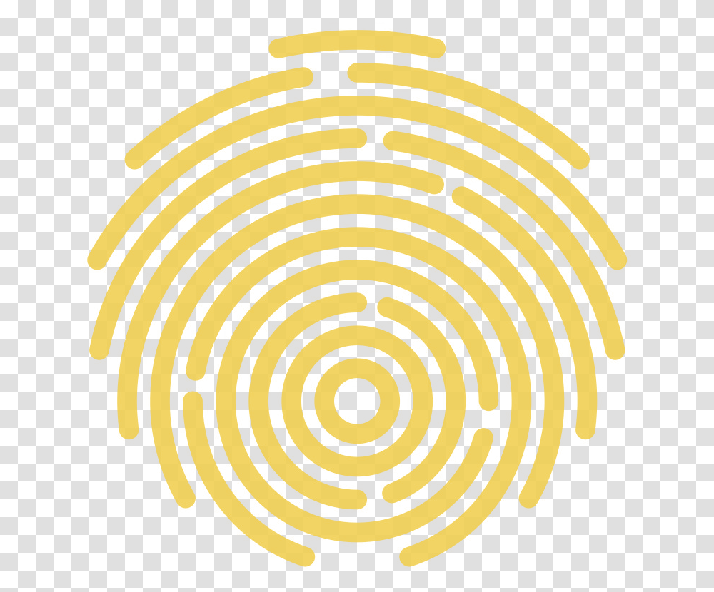 Circle, Pattern, Spiral, Ornament Transparent Png