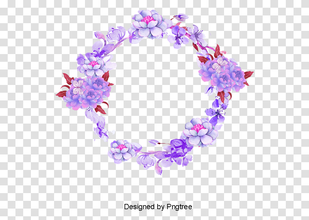 Circle, Petal, Flower, Plant, Blossom Transparent Png