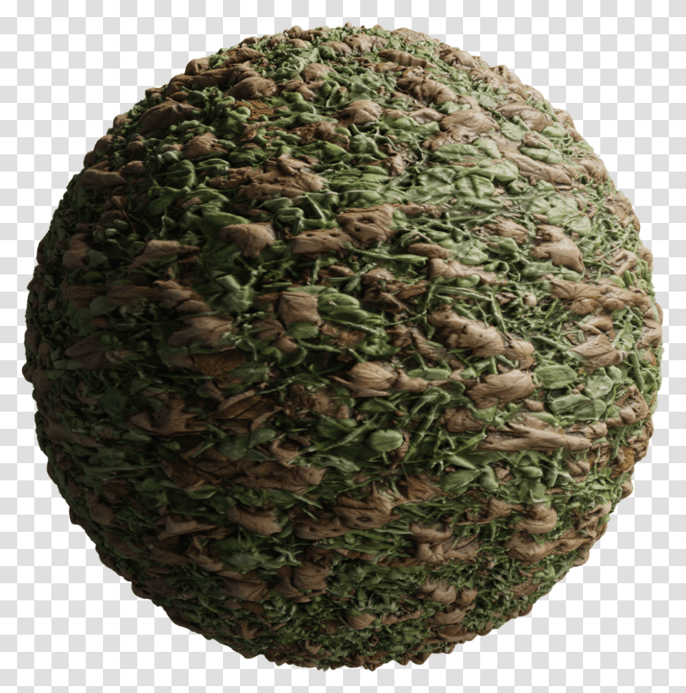 Circle, Pineapple, Plant, Rug, Moss Transparent Png